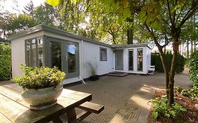 Sfeervol Boschalet 5 Persoons Met Sauna